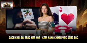Cách Chơi Bài Trác Kim Hoa - Cẩm Nang Chinh Phục Sòng Bạc
