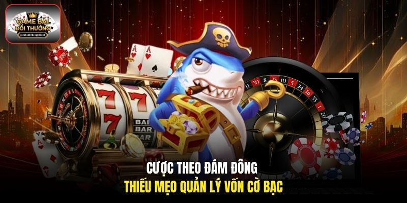 Cược theo đám đông thiếu mẹo quản lý vốn cờ bạc